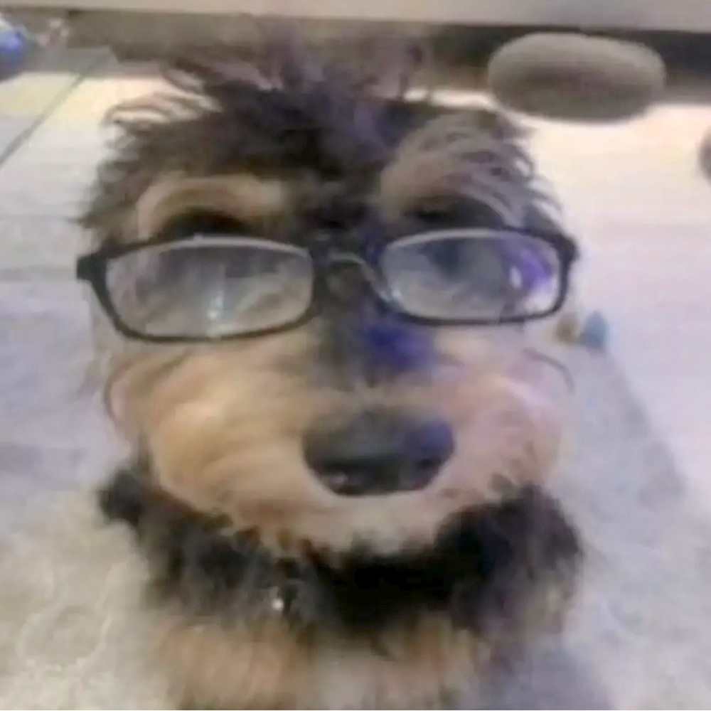 Meet your Posher, Ivann